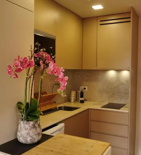 Roof Terrace By Burgo *