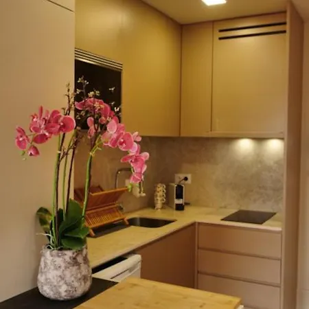 Roof Terrace By Burgo *